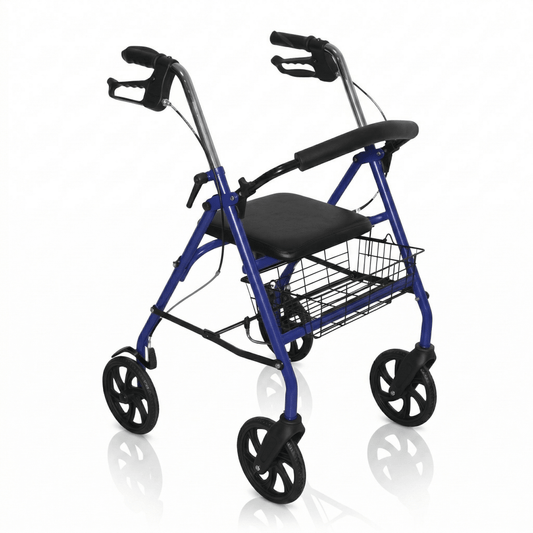 RO10 - Rollator Pieghevole Termigea a 4 Ruote con Seduta e Cestino - Ausili Disabili Roma