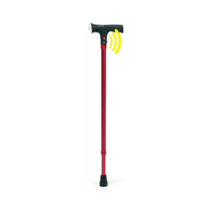 Bastone Fisso Con Luci Electra